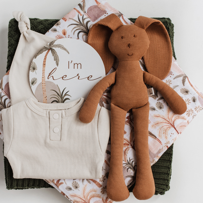 Bronze Snuggle Bunny lying with baby essentials