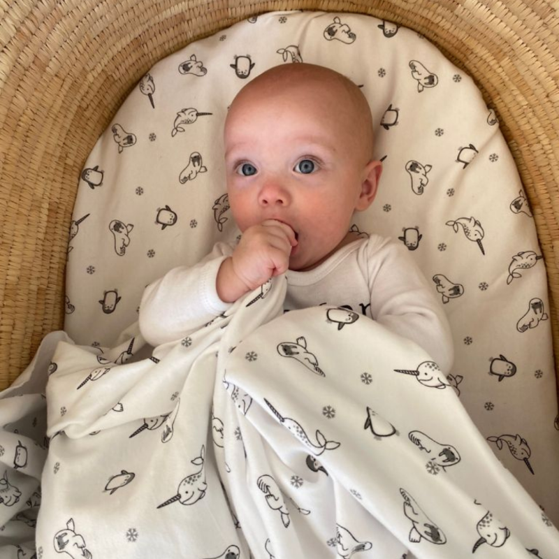 Cute baby lying on an Artic Animals fitted cot sheet